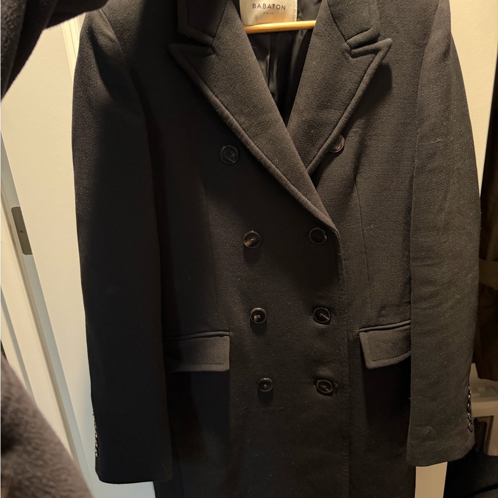 Aritzia Babaton Coat